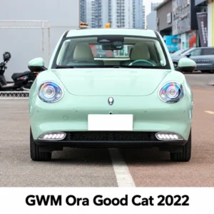GWM Ora Good Cat 2022 DRL Lights