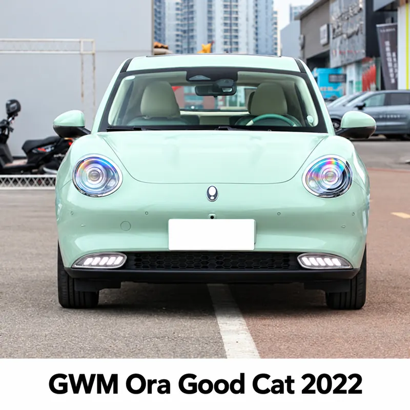 GWM Ora Good Cat 2022 DRL Lights