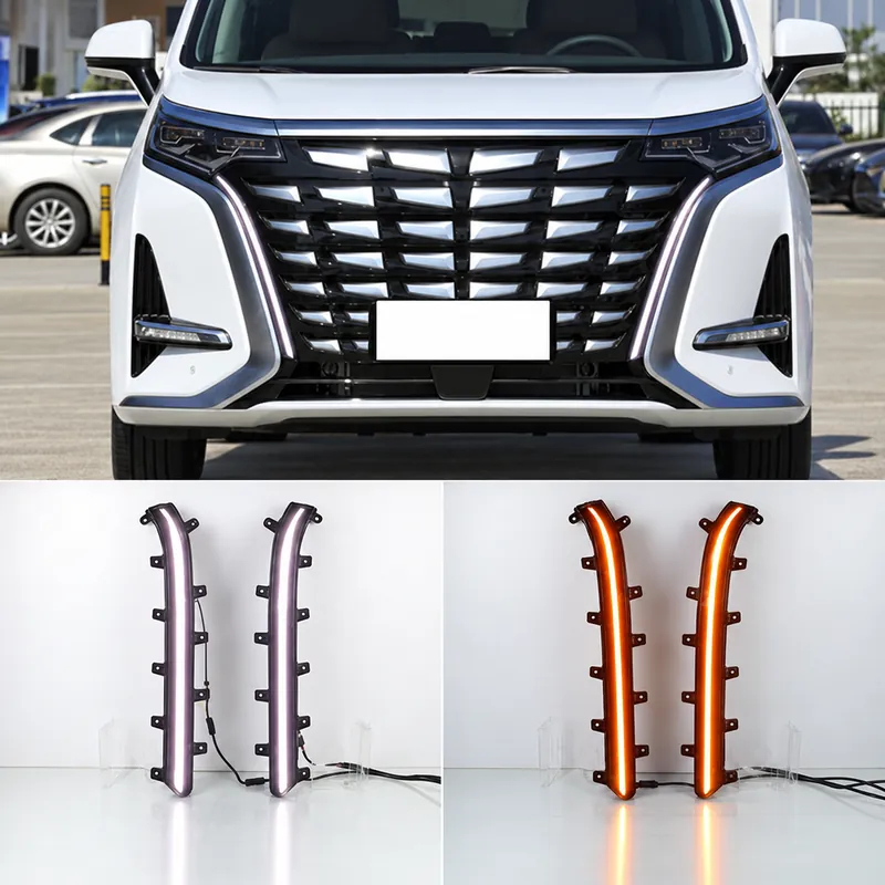 Denza D9 2022–2023 LED Daytime Running Lights – Dual-Color Version